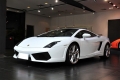  Gallardo ϵڱ