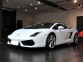 Gallardo ڱ