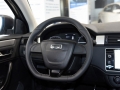 2017 SUV 1.6T ֶ