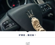 èڣԶΣ