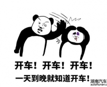年轻人刚学会“开车”，安全问题如何避免？