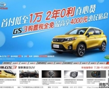 һ GS3/GS4ȫ⹺˰