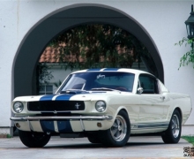 Mustangժȫ˶