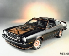 Mustangժȫ˶