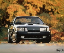 Mustangժȫ˶