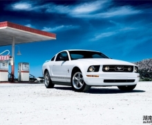 Mustangժȫ˶