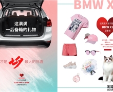  ϦۣBMW X1װȷ𰸡ƣ