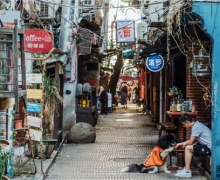 让夏天再火辣些 小肥龙横扫火辣湘菜