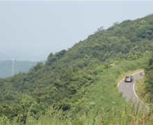 Լ Աڡ;