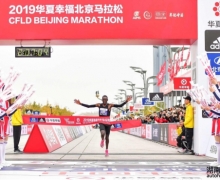 ϣŵ綯Ʒ2019¼