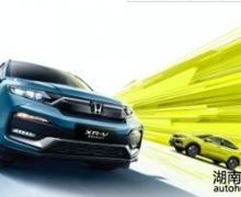 Hondaй201911ն