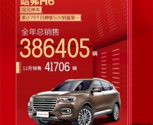 41706 H6 ԳɫΪ2019չ