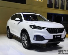 ʱ ;TX/TXLԱWey VV6