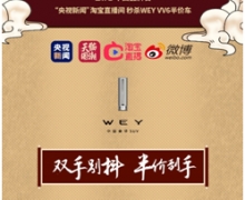 ׸ֱƷWEY VV6С