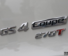 ˵ѡ ֵGS4 Coupe