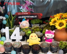 ʮʮ  Ǻ꿪ҵʢ14