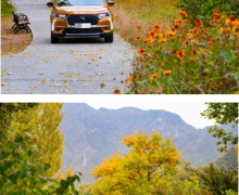 ȷ SUV DS 7ھġ֮