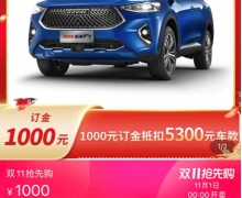 ȫ˫ʮһ 2021F7ϸ籩