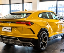 ʵԵġܡ ̬Urus