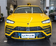 ʵԵġܡ ̬Urus