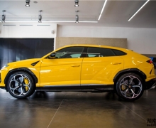 ʵԵġܡ ̬Urus