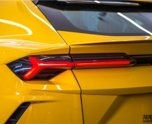 ʵԵġܡ ̬Urus