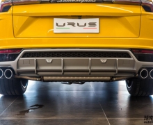 ʵԵġܡ ̬Urus