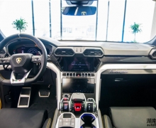ʵԵġܡ ̬Urus