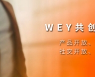 WEY鿪ƽ̨,׷VV5ԪȰ׷ڲж