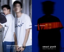 smartȫ³ȤʽƷsmartidea