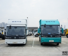 �߶����� �ǻ����� ȫ��������ƽ̨ŷ���ɴ����Ῠ�Ϸ�����