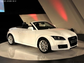 2013�� TT Roadster 45 TFSI