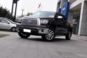 ̹;Tundraô